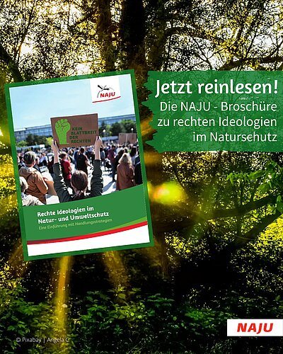 🌿Kein Blattbreit der Rechten! Die NAJU-Broschüre zu rechten Ideologien im Natur- und Umweltschutz ist erschienen. Auf 26...